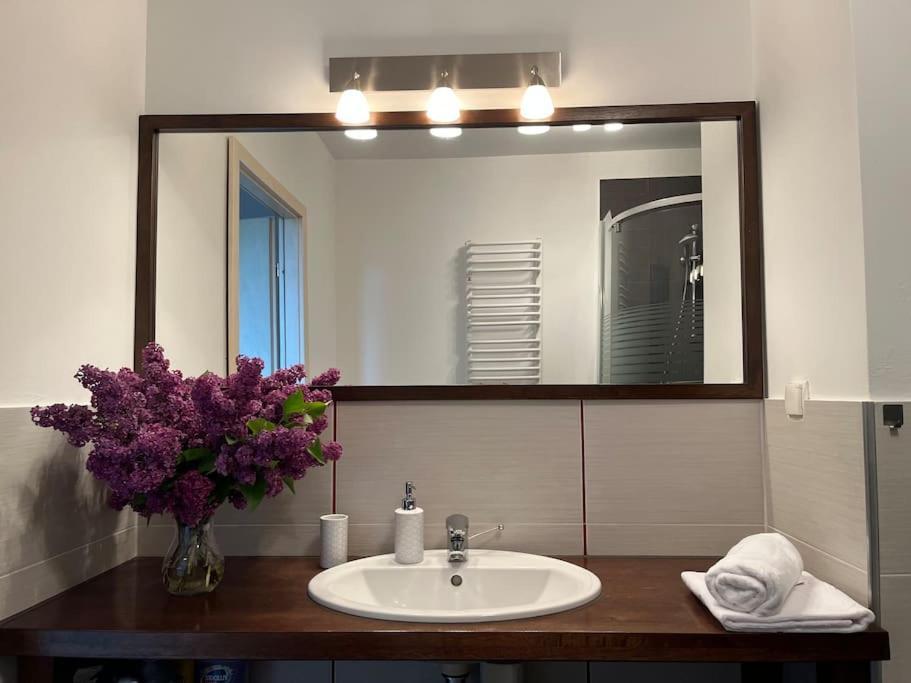 Apartament Hemingwaya Еленя-Гура Экстерьер фото