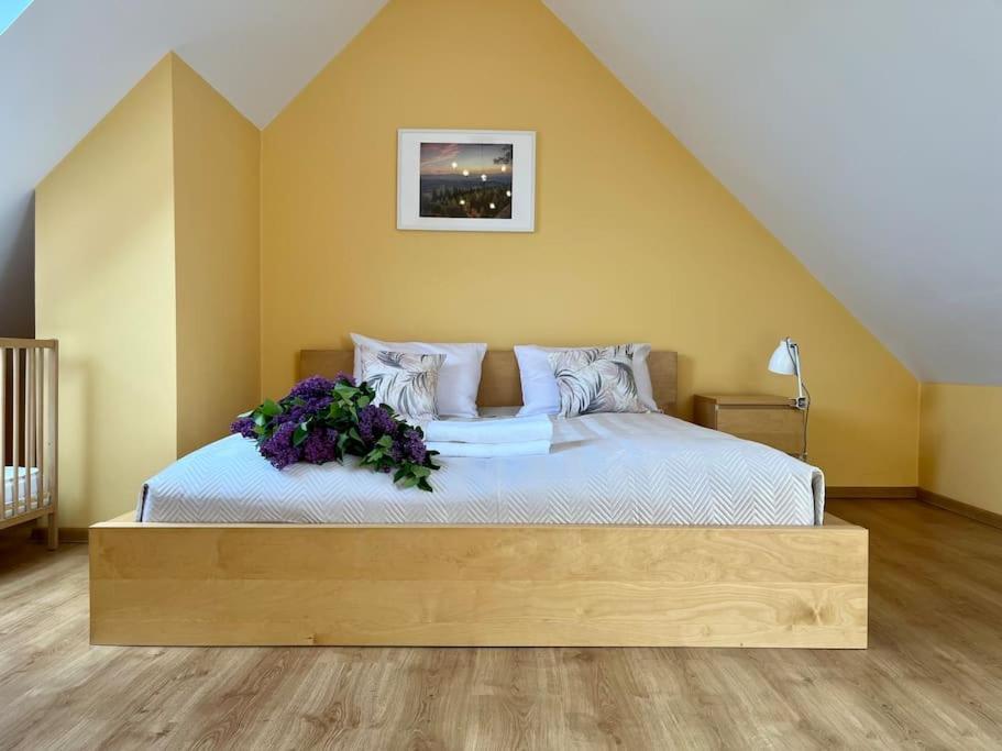 Apartament Hemingwaya Еленя-Гура Экстерьер фото